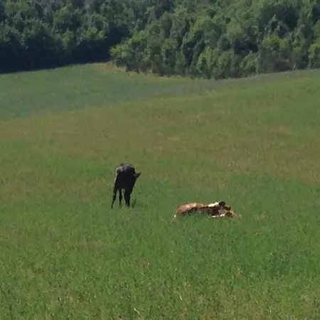 Séjour à la campagne I Sassi Grossi