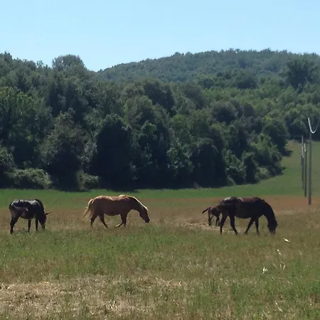 I Sassi Grossi Casa rural