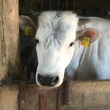 I Sassi Grossi Séjour à la campagne Corciano